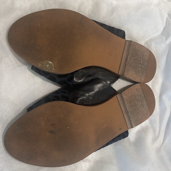 Slides - Picture 5 of 6